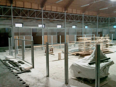 IMAG0239